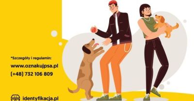Psy można bezpłatnie zaczipować do 30 listopada
